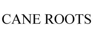 CANE ROOTS