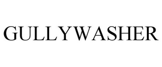 GULLYWASHER