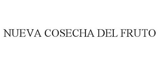 NUEVA COSECHA DEL FRUTO