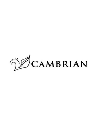 CAMBRIAN