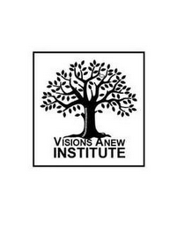 VISIONS ANEW INSTITUTE