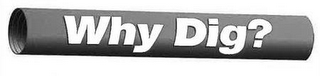WHY DIG?