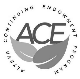 ALTEVA CONTINUING ENDOWMENT PROGRAM ACE