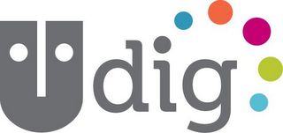 U DIG