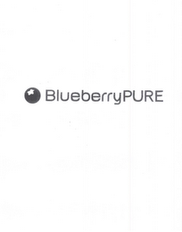 "BLUEBERRYPURE"