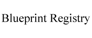 BLUEPRINT REGISTRY