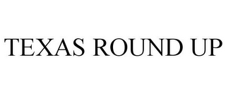 TEXAS ROUND UP