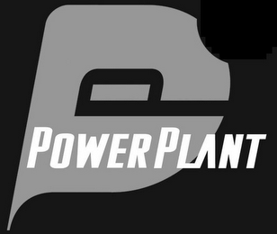 PP POWER PLANT