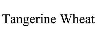 TANGERINE WHEAT