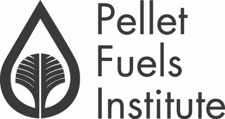PELLET FUELS INSTITUTE