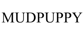 MUDPUPPY