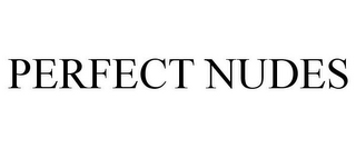 PERFECT NUDES