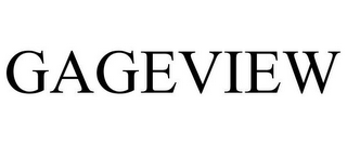 GAGEVIEW