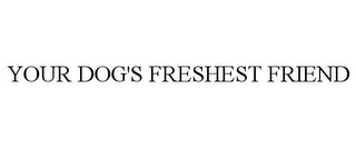 YOUR DOG'S FRESHEST FRIEND