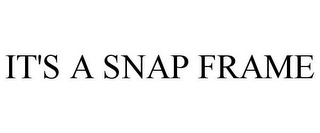 IT'S A SNAP FRAME