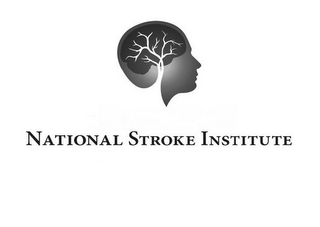 NATIONAL STROKE INSTITUTE