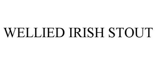 WELLIED IRISH STOUT