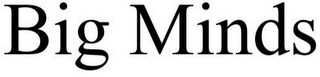 BIG MINDS