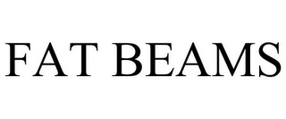 FAT BEAMS
