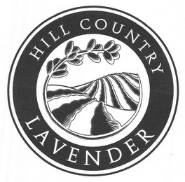 HILL COUNTRY LAVENDER
