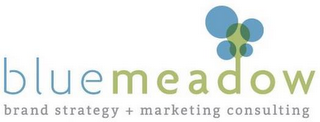 BLUE MEADOW BRAND STRATEGY + MARKETING CONSULTING