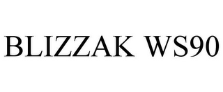 BLIZZAK WS90