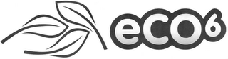 ECO6