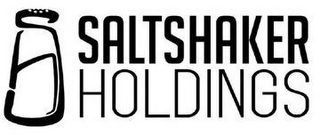 SALTSHAKER HOLDINGS