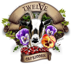 TWELVE XII CAPRICORN PAUL MICHALSKI