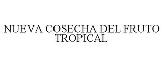 NUEVA COSECHA DEL FRUTO TROPICAL