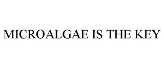 MICROALGAE IS THE KEY