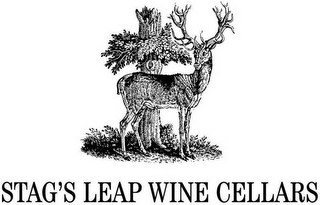 STAG'S LEAP WINE CELLARS