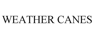 WEATHER CANES