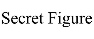 SECRET FIGURE