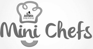 AVOCADOS FROM MEXICO MINI CHEFS