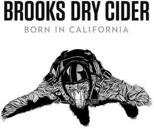 BROOKS DRY CIDER BORN IN CALIFORNIA