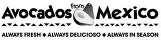 AVOCADOS FROM MEXICO ALWAYS FRESH ALWAYS DELICIOSO ALWAYS IN SEASON