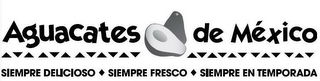 AGUACATES DE MEXICO SIEMPRE DELICIOSO SIEMPRE FRESCO SIEMPRE EN TEMPORADA