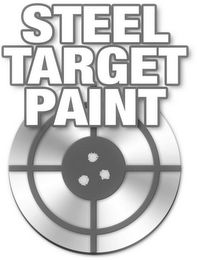 STEEL TARGET PAINT