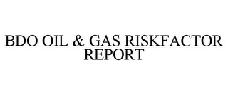 BDO OIL & GAS RISKFACTOR REPORT