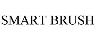 SMART BRUSH