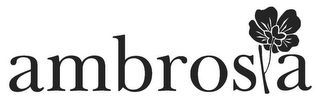 AMBROSIA