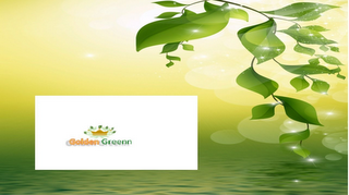 GOLDEN GREEN