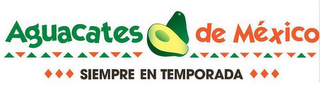 AGUACATES DE MEXICO SIEMPRE EN TEMPORADA