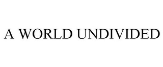 A WORLD UNDIVIDED