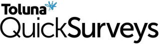 TOLUNA QUICK SURVEYS
