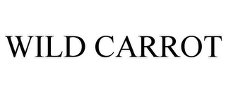 WILD CARROT