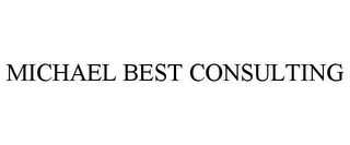 MICHAEL BEST CONSULTING