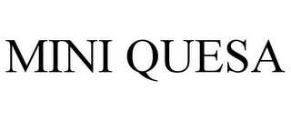 MINI QUESA