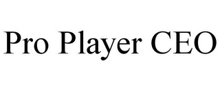 PRO PLAYER CEO